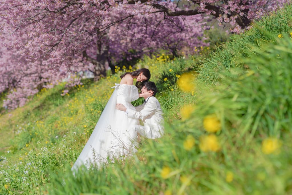 伊豆 河津桜洋装ロケーションプラン | フォトウェディング・前撮り・結婚写真