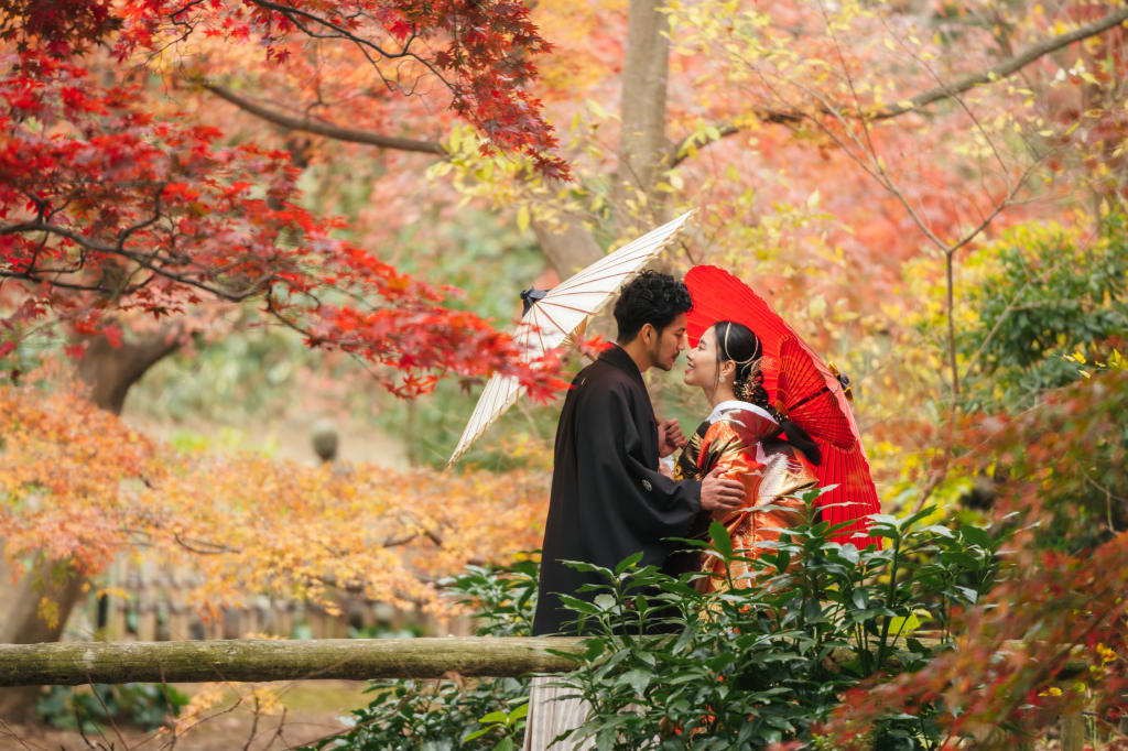 紅葉ロケーションプラン