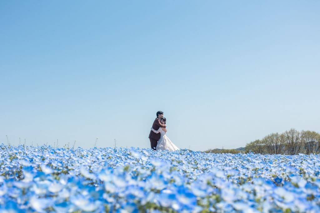 世羅高原ロケーションプランプラン | フォトウェディング・前撮り・結婚写真