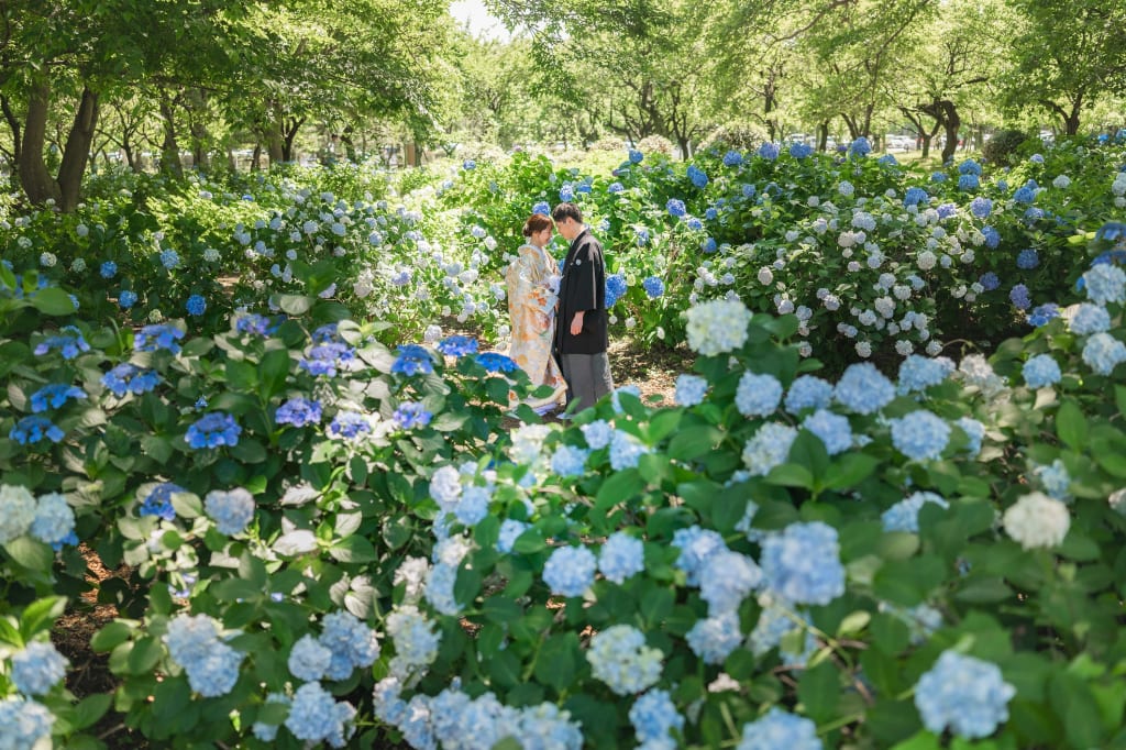 和装 大宮第二公園【お茶室つき】ロケーション
