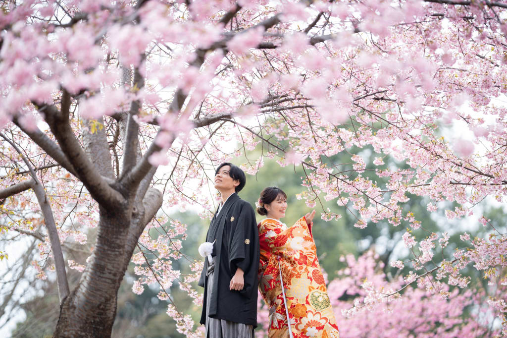 【桜の時期限定プラン】松ヶ崎城跡ロケーションプラン | フォトウェディング・前撮り・結婚写真