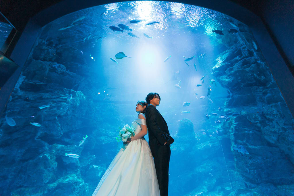 京都水族館プラン | フォトウェディング・前撮り・結婚写真