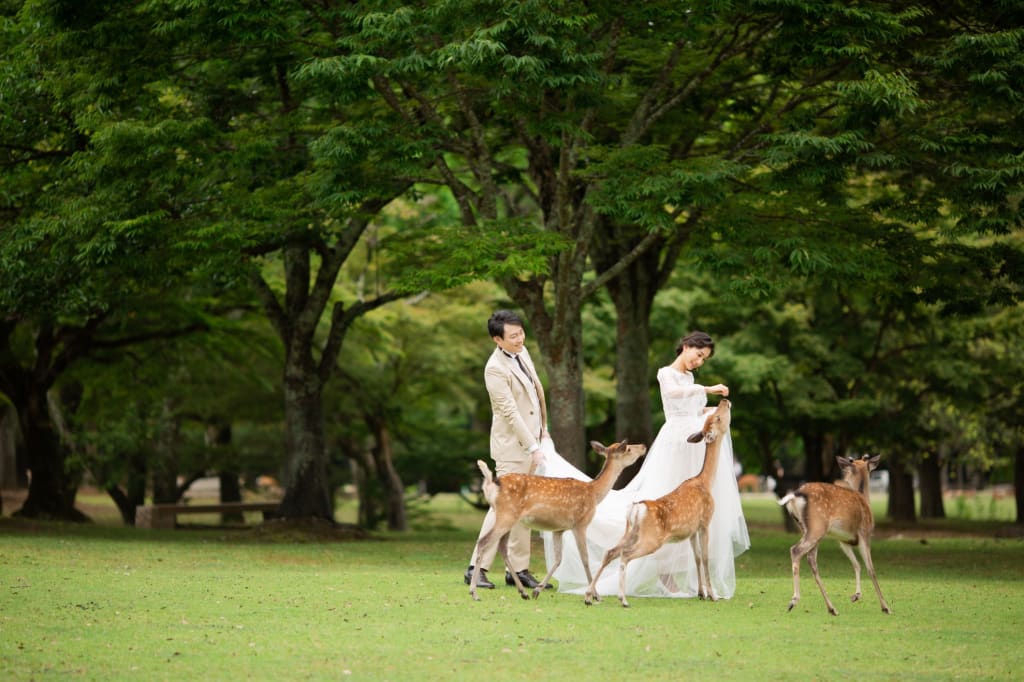 春日野園地ロケーションプラン | フォトウェディング・前撮り・結婚写真