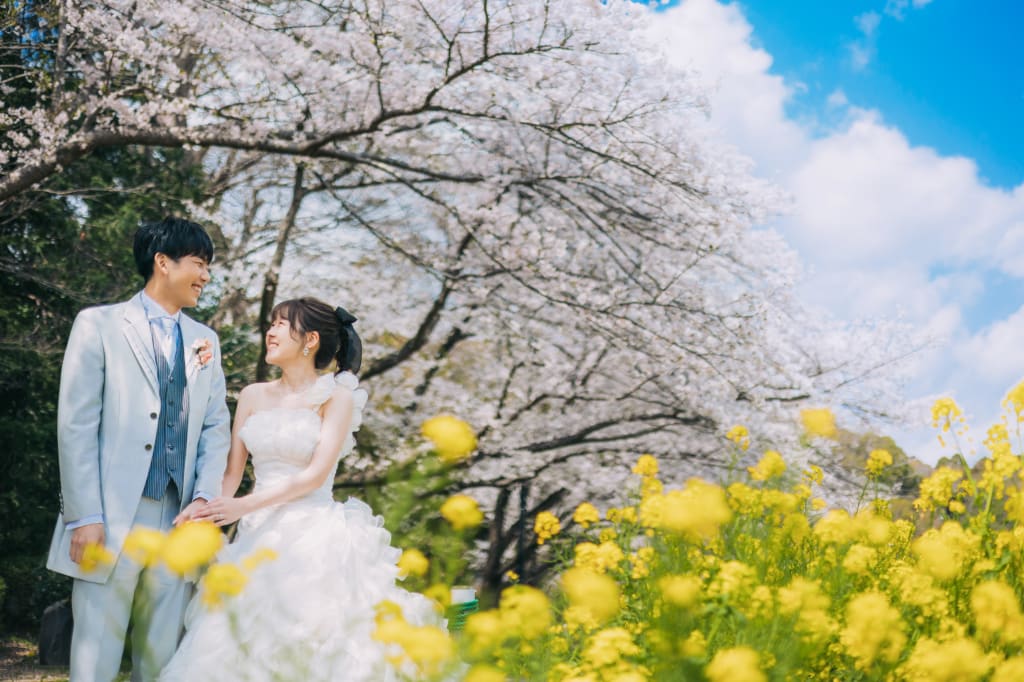 【桜の時期限定】花島公園ロケーションプラン | フォトウェディング・前撮り・結婚写真