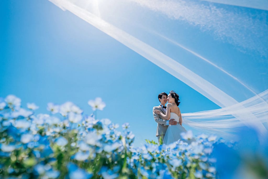 国営ひたち海浜公園ロケーション