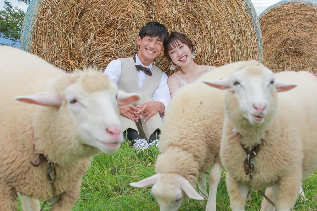 北海道満喫プレミアムプラン | フォトウェディング・前撮り・結婚写真