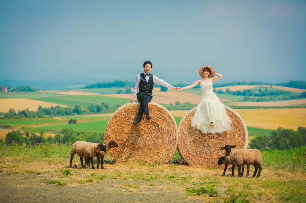 富良野 or 美瑛の花畑＋牧場プラン | フォトウェディング・前撮り・結婚写真