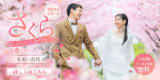 桜フォトウェディング特集2026