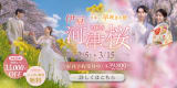 河津桜ロケーションフォトプラン2026
