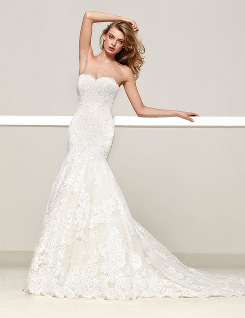 ウェディング界での世界3大ブランドPRONOVIAS(プロノビアス)の ウェディング界での世界3大ブランドPRONOVIAS(プロノビアス)の