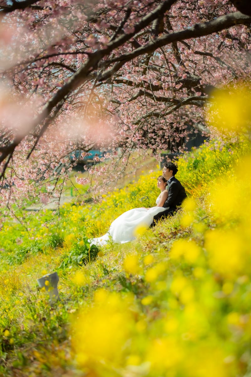 秋の次は！桜のシーズンです！！！＾＾/先行ご予約受付中！ | スタジオ