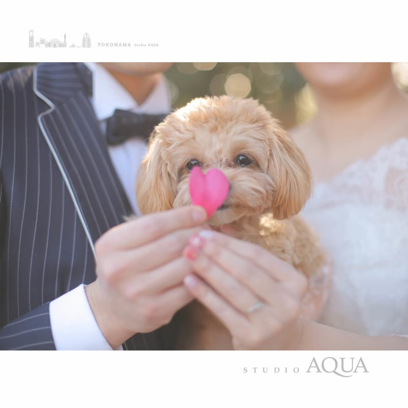 プラムの丘 根岸森林公園 スタジオaqua 横浜みなとみらい店 前撮り フォトウェディング