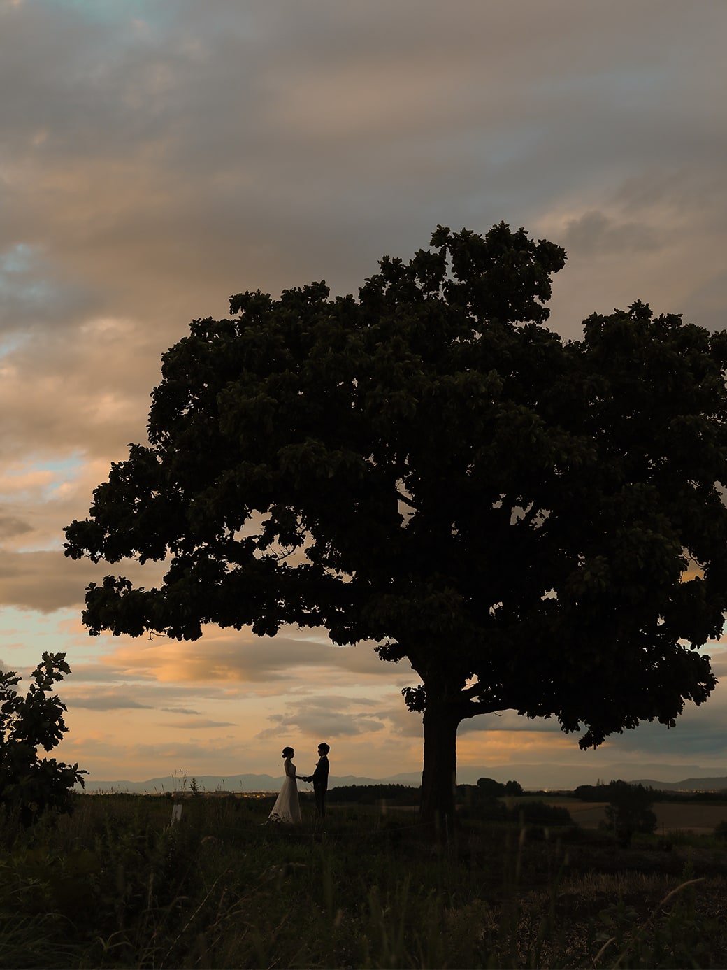 富良野 or 美瑛の花畑＋美瑛の丘プラン | スタジオSOLA 美瑛店 | フォトウェディング・前撮り・結婚写真