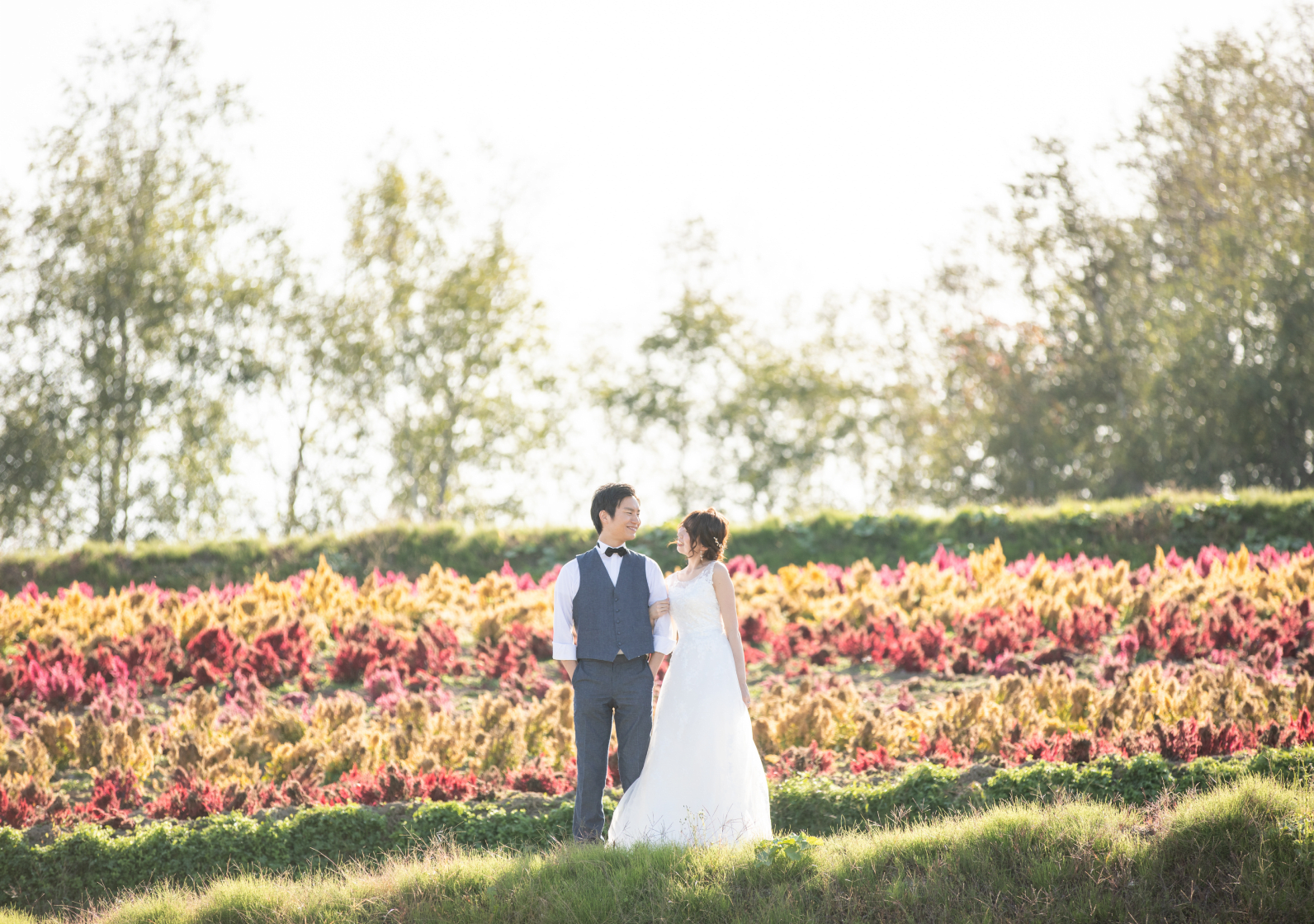 上野ファーム＋もう一箇所プラン | スタジオSOLA 美瑛店 | フォトウェディング・前撮り・結婚写真
