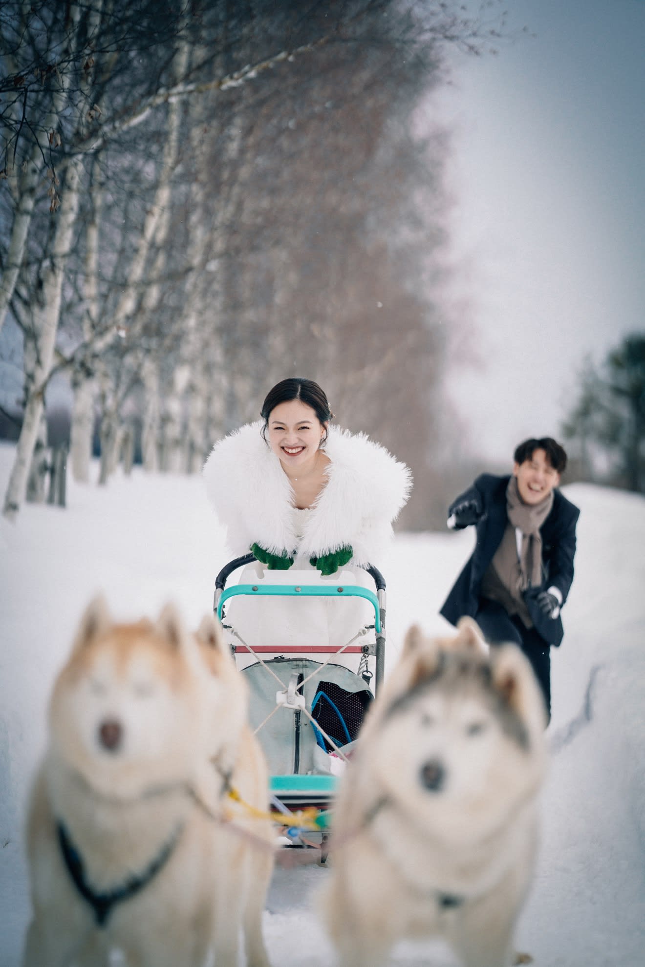 (冬季限定)動物スノーロケーションプラン | スタジオSOLA 美瑛店 | フォトウェディング・前撮り・結婚写真