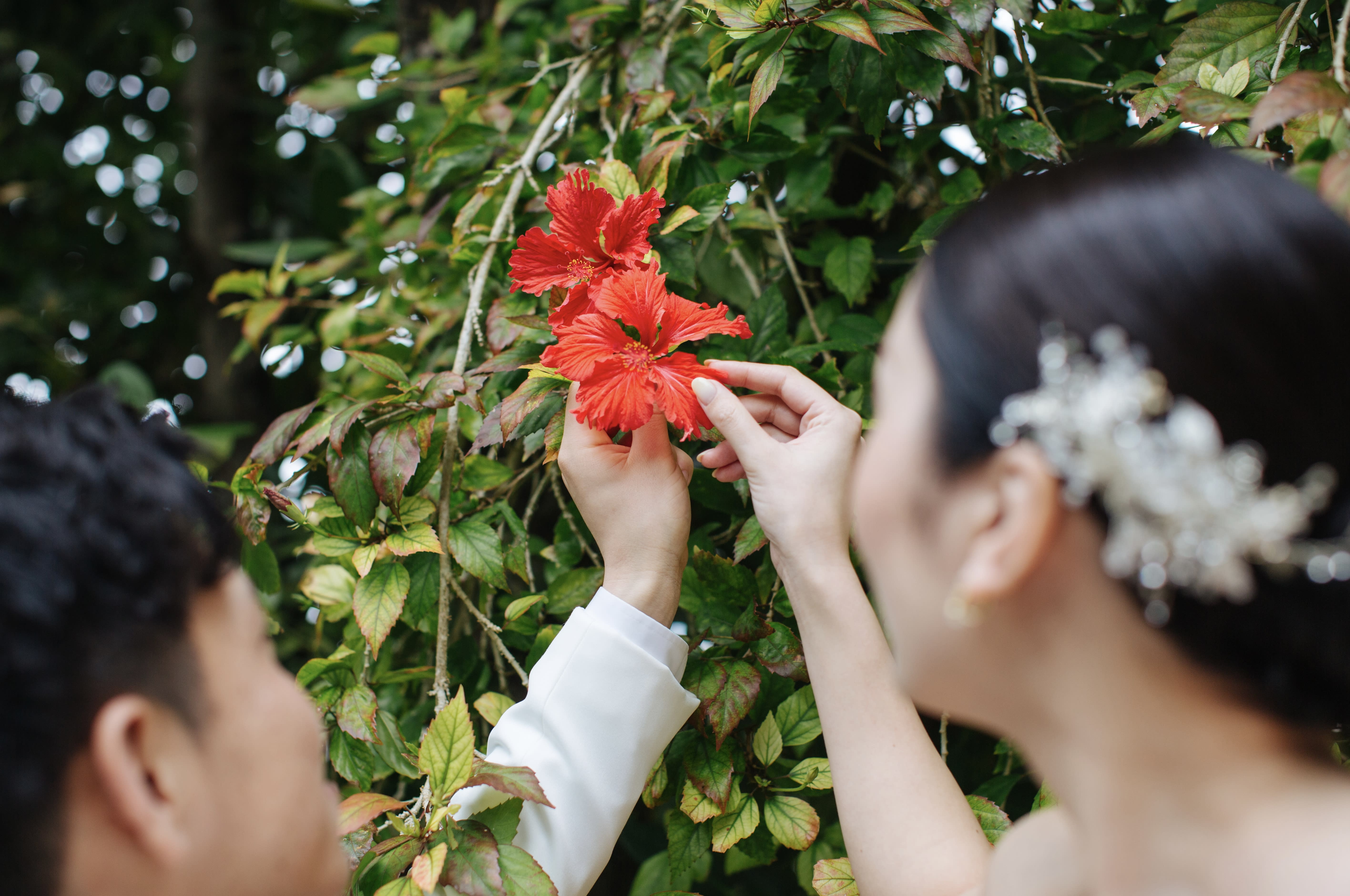 北部ビーチ＋フクギプラン | スタジオSUNS | フォトウェディング・前撮り・結婚写真