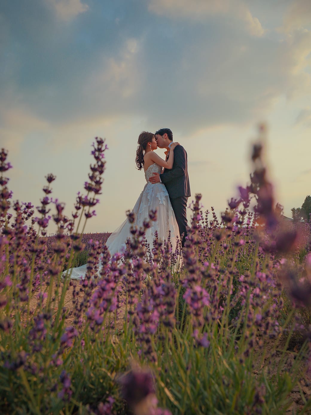 富良野 or 美瑛の花畑＋もう一箇所プラン | スタジオSOLA 美瑛店 | フォトウェディング・前撮り・結婚写真