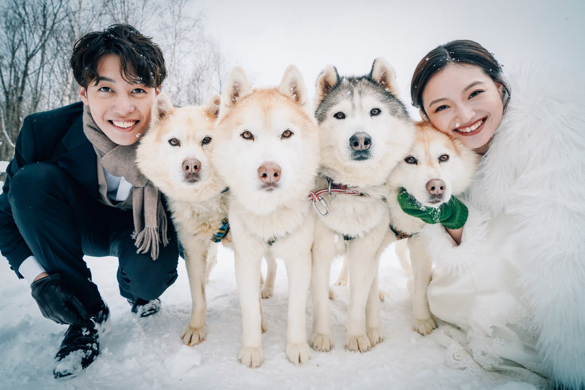 (冬季限定)動物スノーロケーションプラン | スタジオSOLA 美瑛店 | フォトウェディング・前撮り・結婚写真