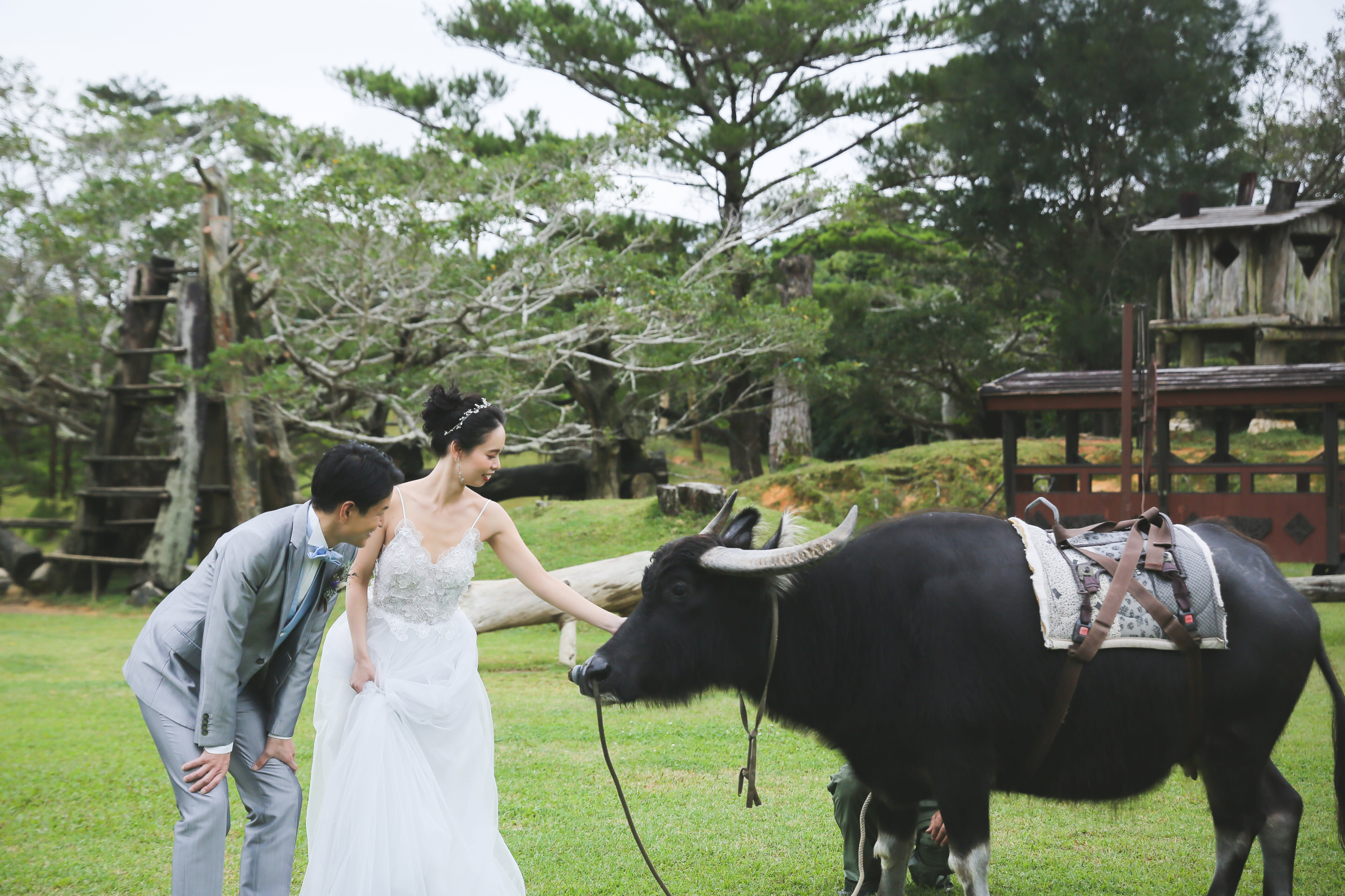 ビーチ＋ビオスの丘プラン | スタジオSUNS | フォトウェディング・前撮り・結婚写真