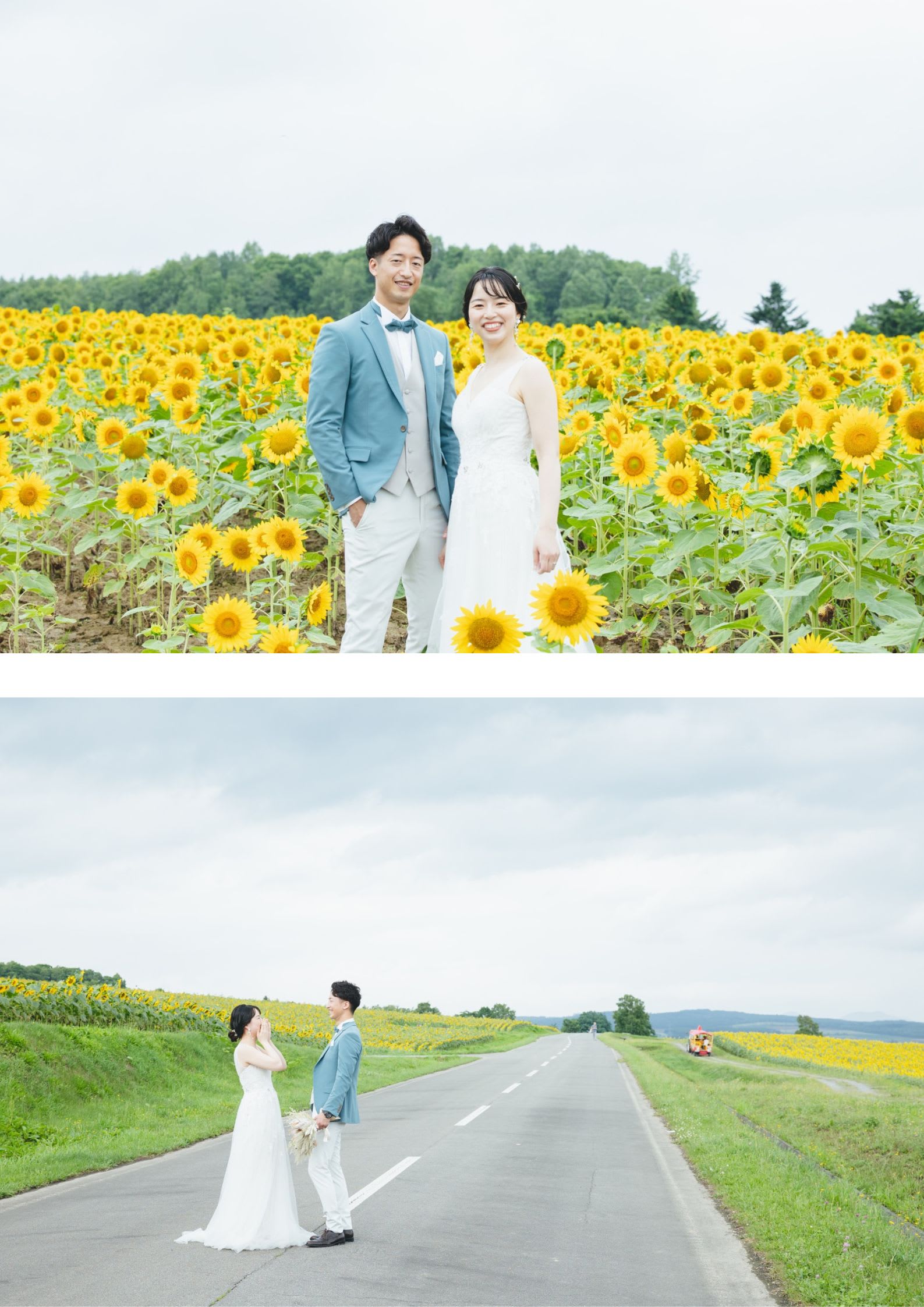 北竜町ひまわりロケーションプラン | スタジオSOLA 美瑛店 | フォトウェディング・前撮り・結婚写真