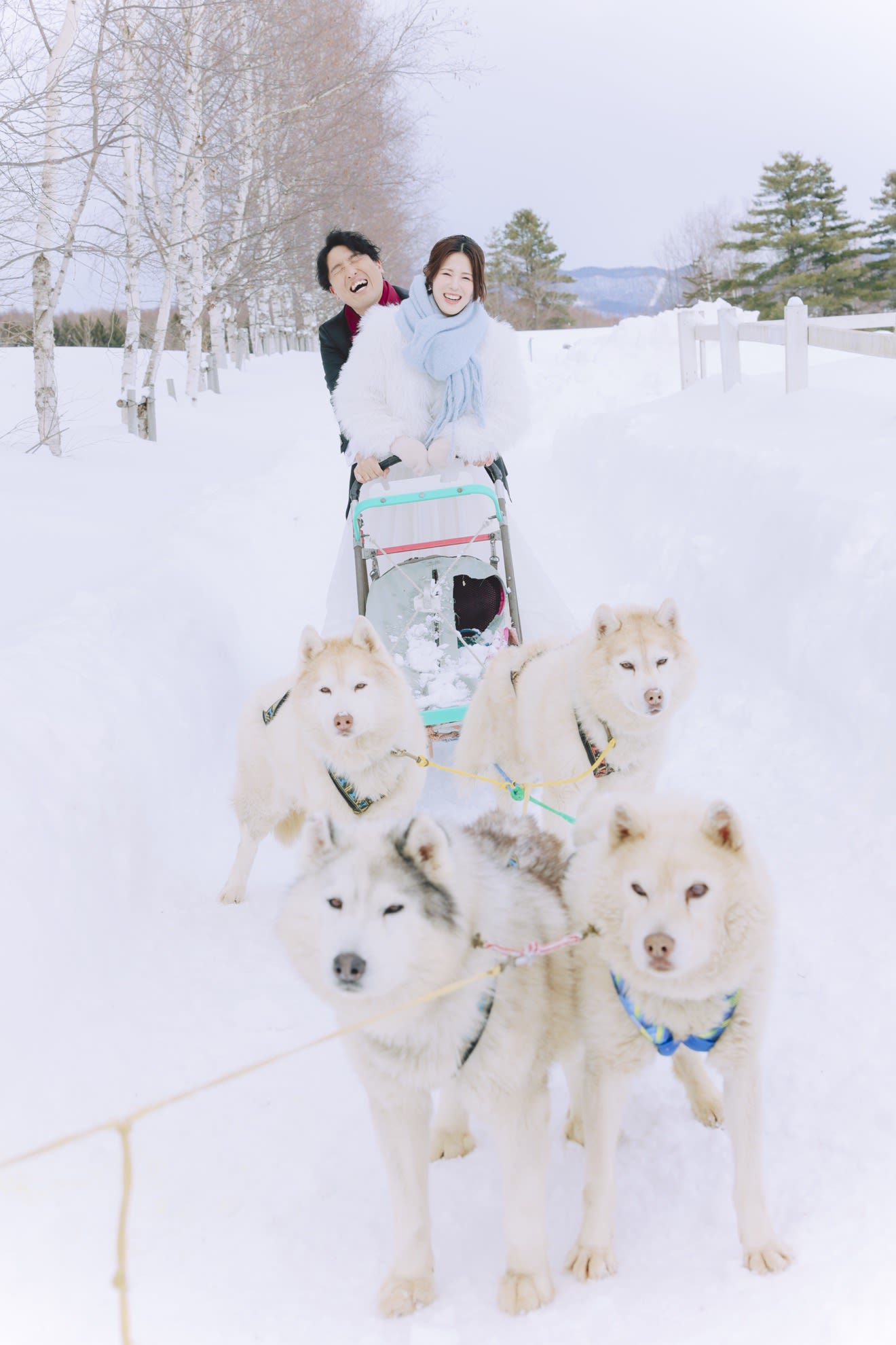 （冬季限定）チャペル＋動物スノーロケプラン | スタジオSOLA 美瑛店 | フォトウェディング・前撮り・結婚写真