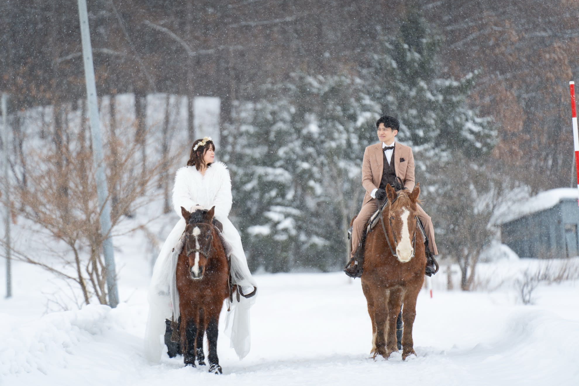 （冬季限定）チャペル＋動物スノーロケプラン | スタジオSOLA 美瑛店 | フォトウェディング・前撮り・結婚写真