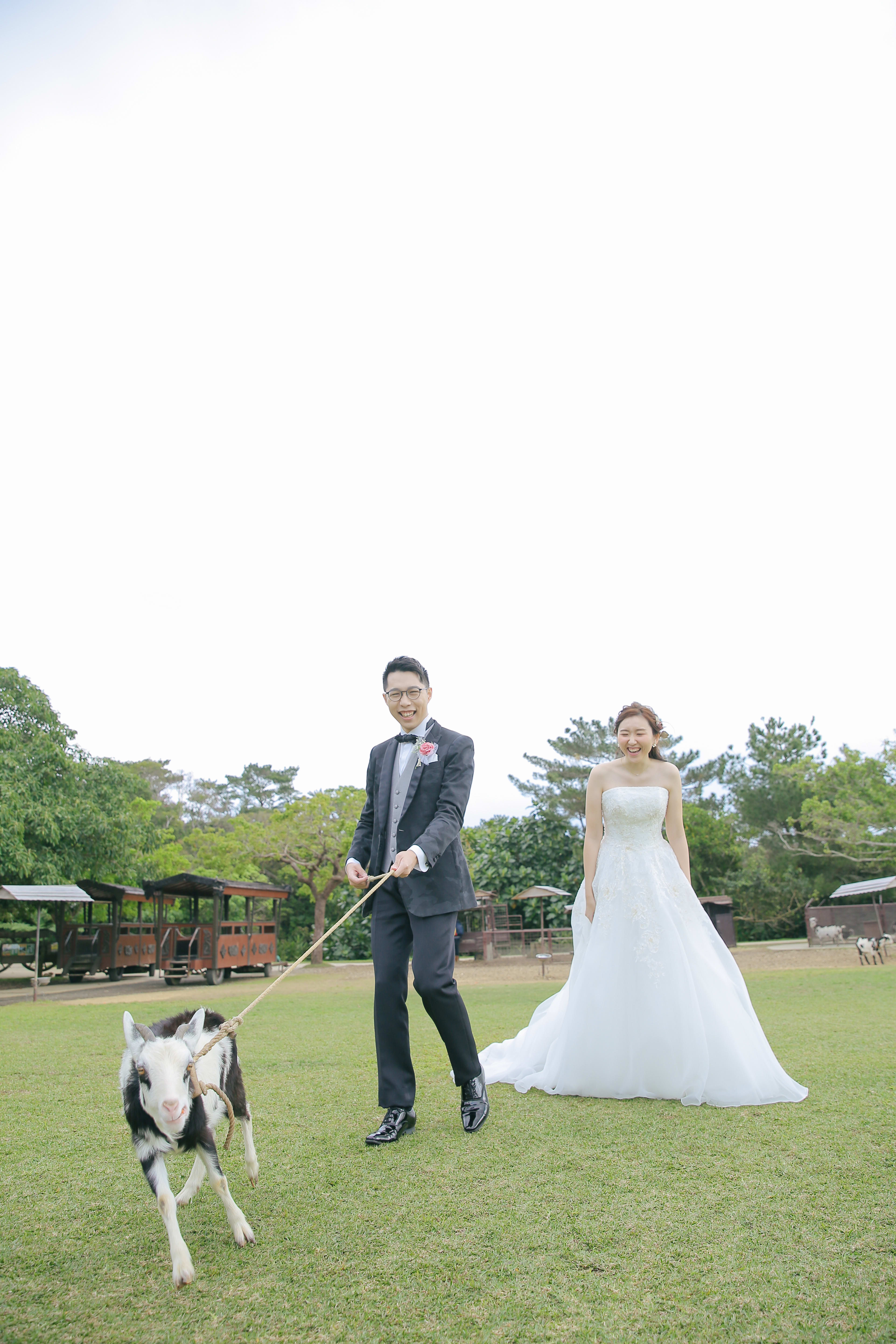 ビーチ＋ビオスの丘プラン | スタジオSUNS | フォトウェディング・前撮り・結婚写真