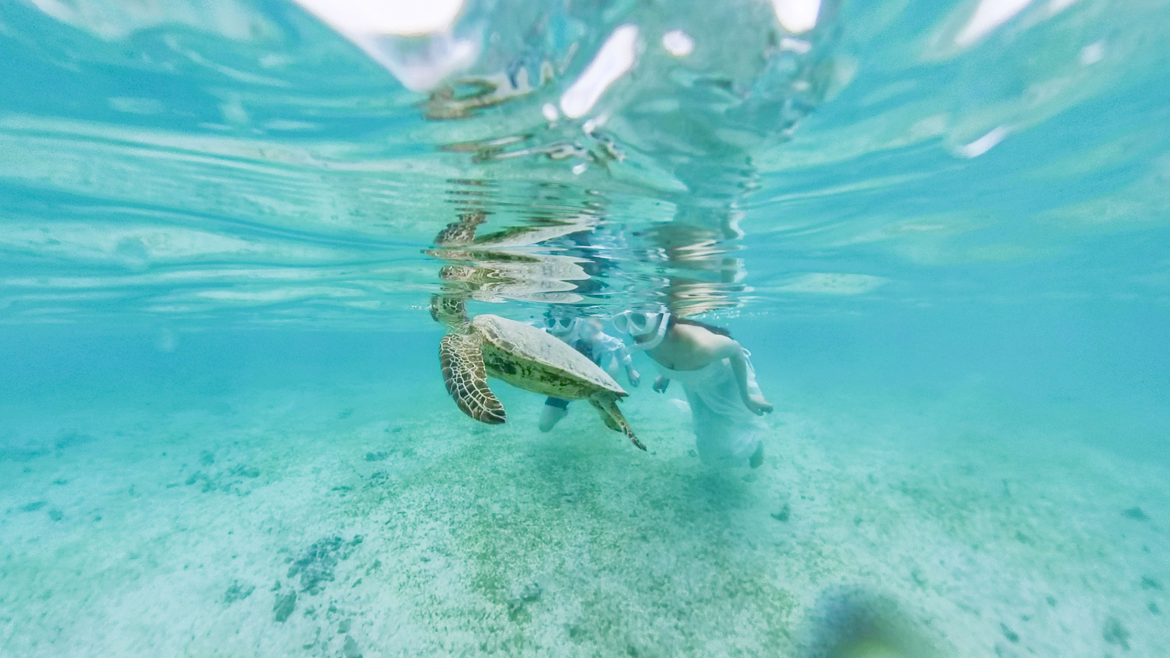 【宮古島】アクティビティーフォトプラン | スタジオSUNS宮古島店 | フォトウェディング・前撮り・結婚写真