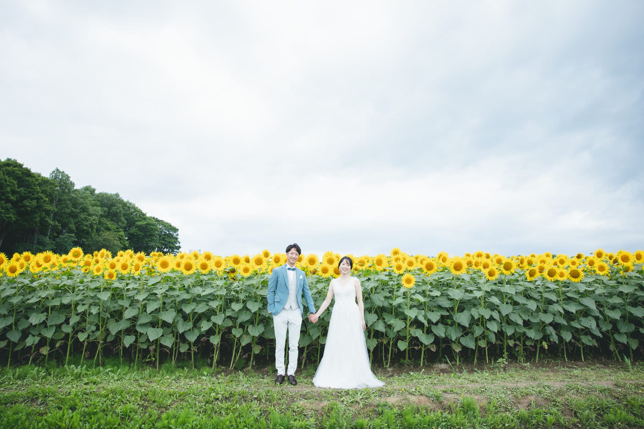 北竜町ひまわりロケーションプラン | スタジオSOLA 美瑛店 | フォトウェディング・前撮り・結婚写真