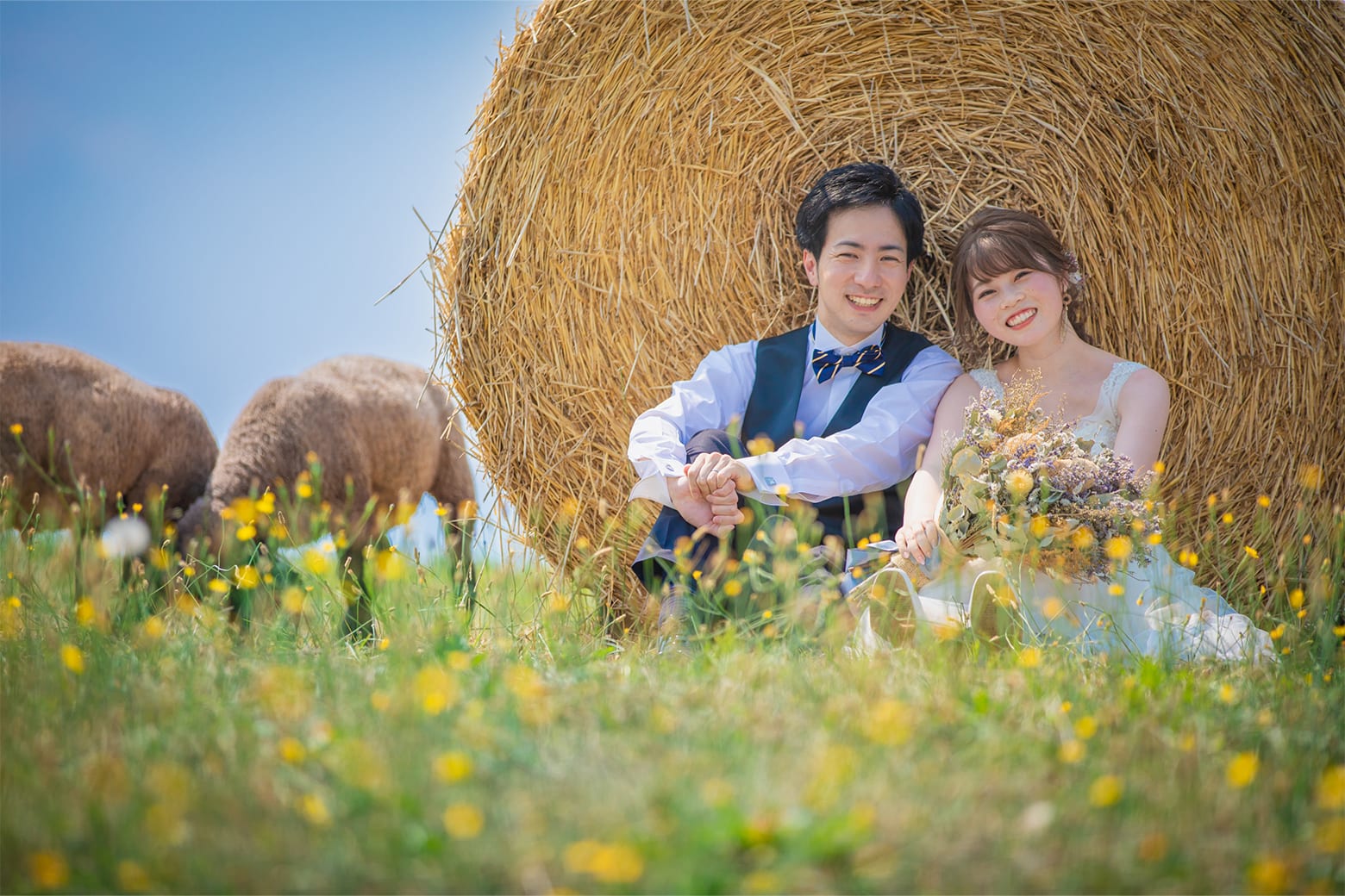 牧場プラン | スタジオSOLA 美瑛店 | フォトウェディング・前撮り・結婚写真