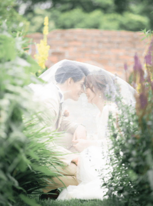 上野ファーム＋もう一箇所プラン | スタジオSOLA 美瑛店 | フォトウェディング・前撮り・結婚写真