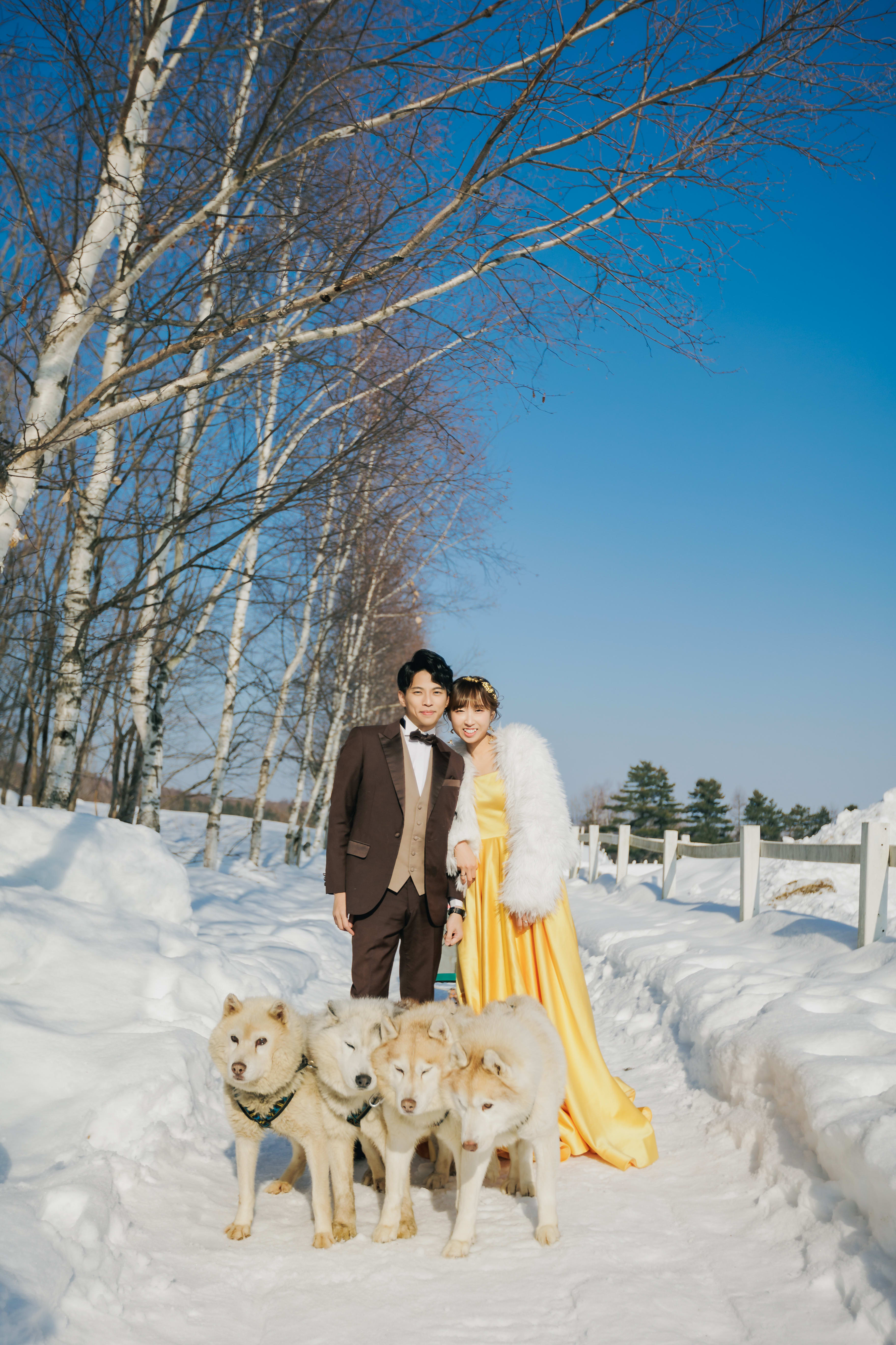 （冬季限定）美瑛の丘＋動物スノーロケーションプラン | スタジオSOLA 美瑛店 | フォトウェディング・前撮り・結婚写真