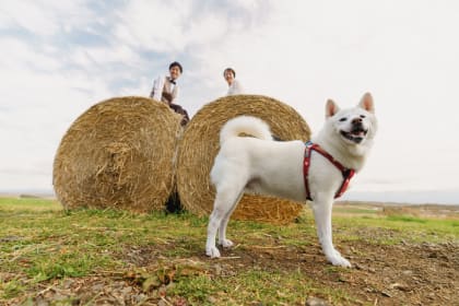 家族・ペット_5