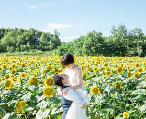 【7/20~8/16限定】ひまわり早割3万OFF！！
