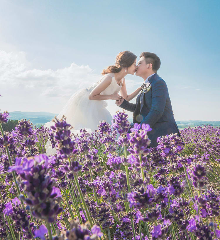 富良野 or 美瑛の花畑プラン | スタジオSOLA 美瑛店 | フォトウェディング・前撮り・結婚写真
