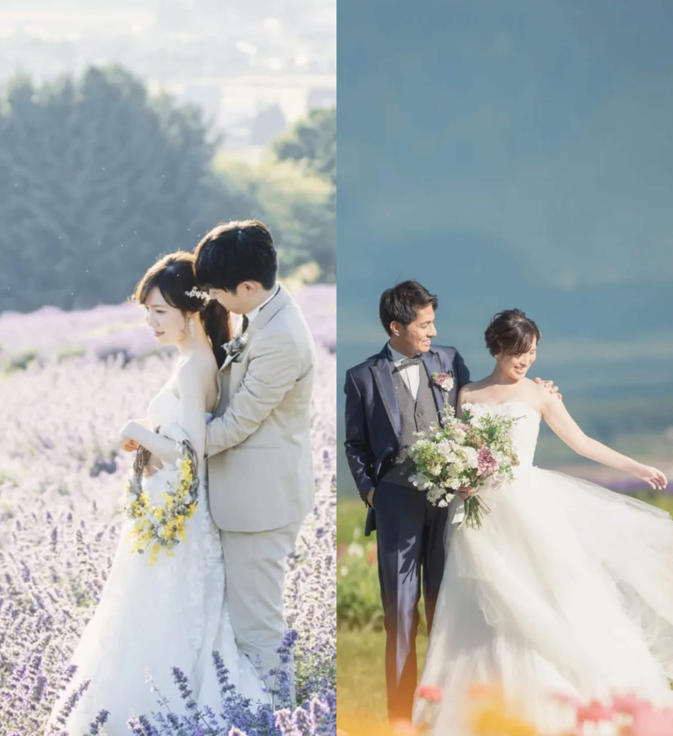 富良野 or 美瑛の花畑＋もう一箇所プラン | スタジオSOLA 美瑛店 | フォトウェディング・前撮り・結婚写真