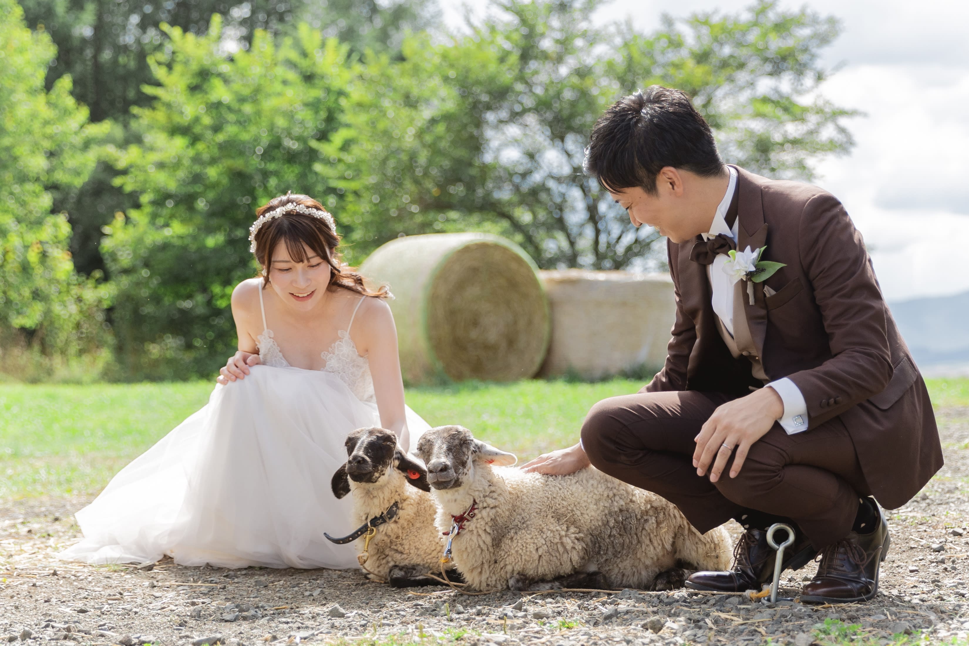 牧場＋もう一箇所プラン | スタジオSOLA 美瑛店 | フォトウェディング・前撮り・結婚写真