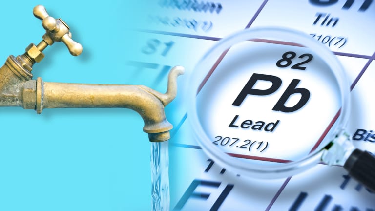 All lead pipes must be replaced in the next decade