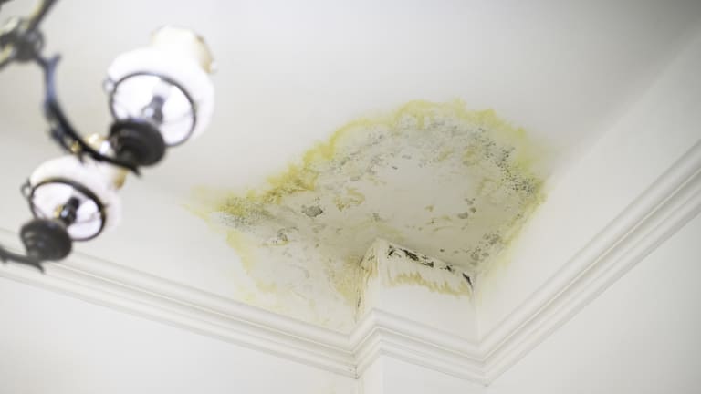 Mold caused by a ceiling water leak