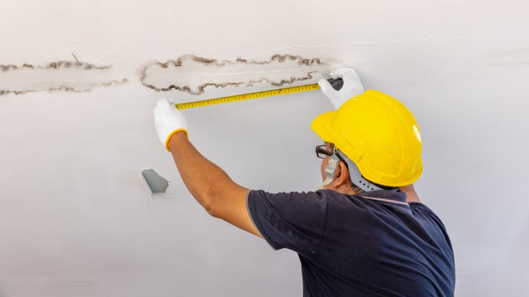 Don’t wait until a leak turns into mold: repipe now