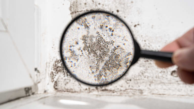Outdated plumbing is a hidden cause of mold