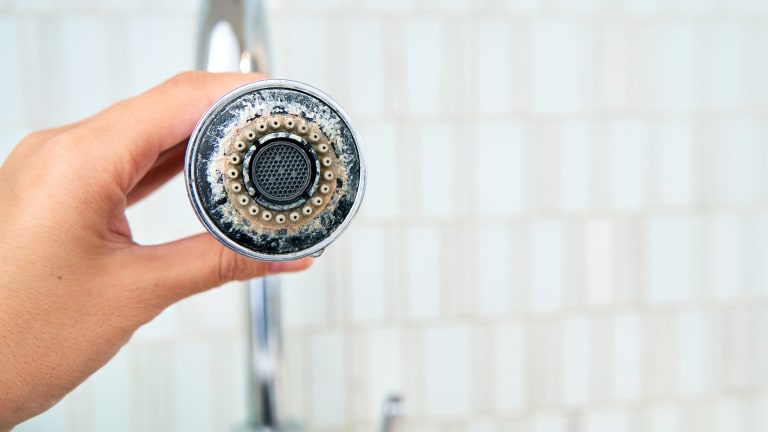 Hard water in Florida can clog up your plumbing