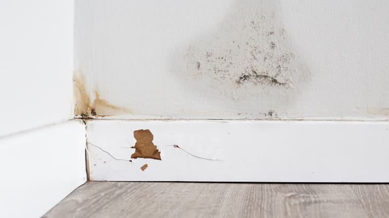 A Utah home with water-damaged walls from old poly pipe