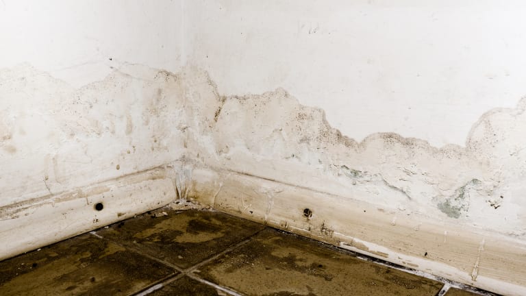 Dallas home with water damage from a slab leak