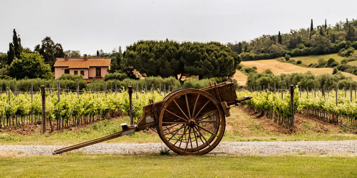 AGRITURISMO SANTA LUCIA - Intervista DINAclub Members