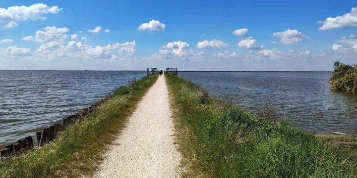 In bicicletta nel Delta del Po: un viaggio lento tra natura, storia e sapori