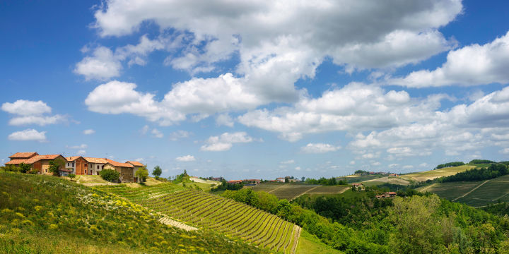 A caccia di onde gravitazionali in bicicletta, nei dintorni di Pisa