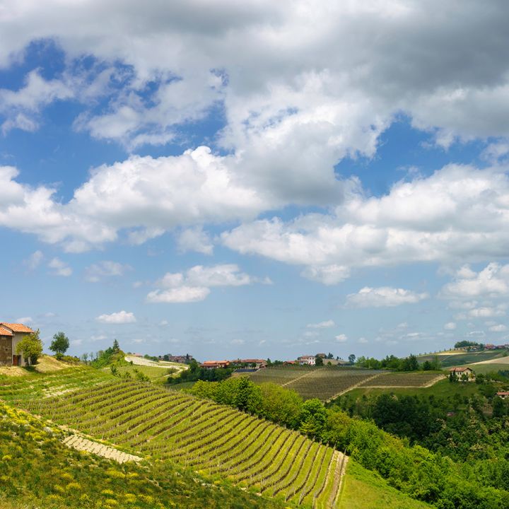 A caccia di onde gravitazionali in bicicletta, nei dintorni di Pisa