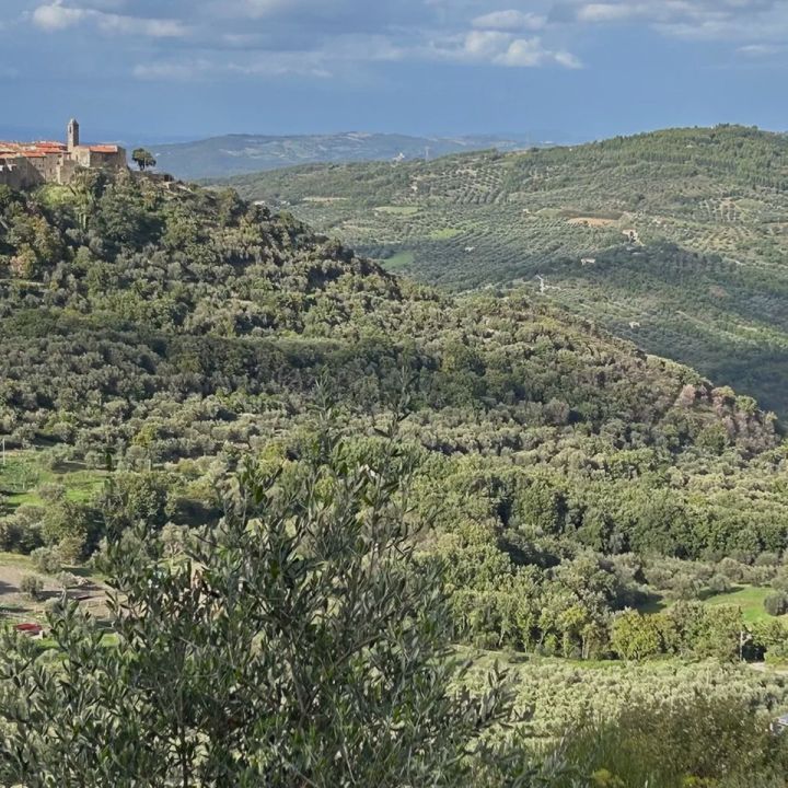 Poderi Borselli - Intervista DINAclub Members