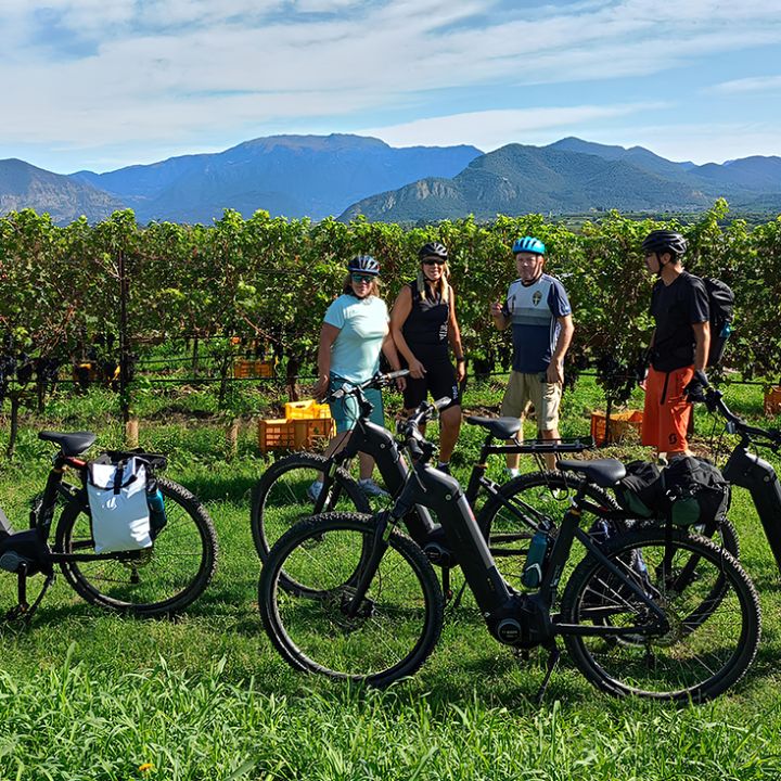 In bici tra i vigneti del Franciacorta grazie a Rls Movement